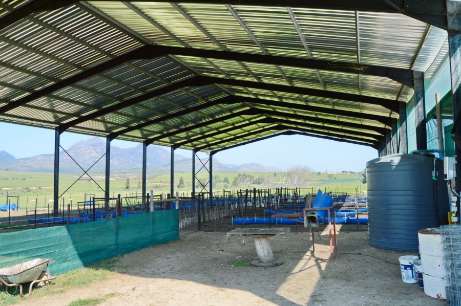 Commercial Property for Sale in George Rural Western Cape